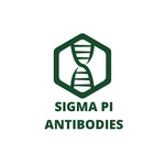 Sigma Pi Antibodies